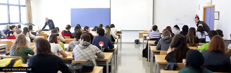 Cursos crisis económica