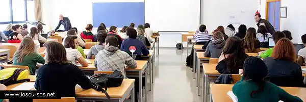 Estudiar cursos de profesiones con mayor salida laboral