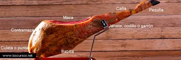 Partes de un jamón