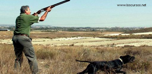 Cursos de caza